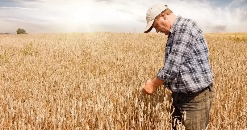 Çiftçi Kayıt Sistemi ne kayıtlarda son 3 gün Ekonomi Haberleri