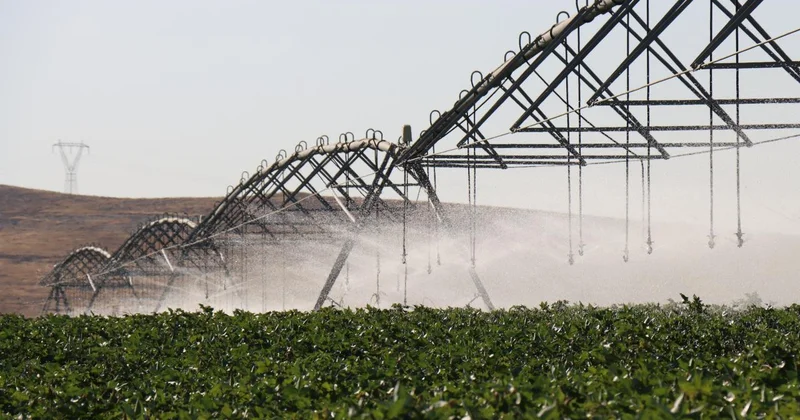 DAP Bölge Kalınma İdaresi 12 yılda 2 bin 86 projeye destek verdi