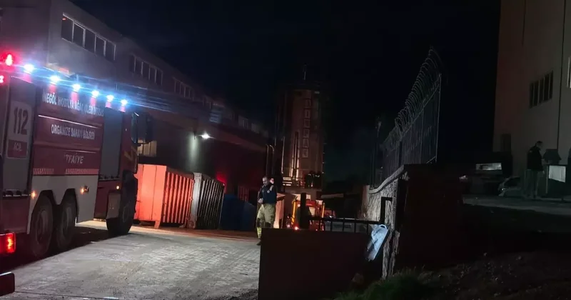 Mobilya fabrikasında feci kaza: Talaş silosuna düşen işçi hayatını kaybetti