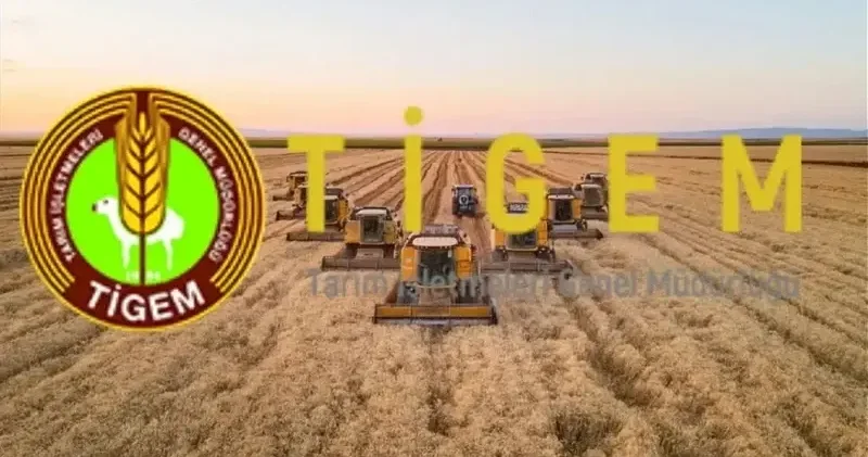 TİGEM İŞÇİ ALIMI ne zaman? Tarım İşletmeleri Genel Müdürlüğü personel alımı başvuru şartları neler alımlar hangi illerde olacak? Son Dakika Haberleri