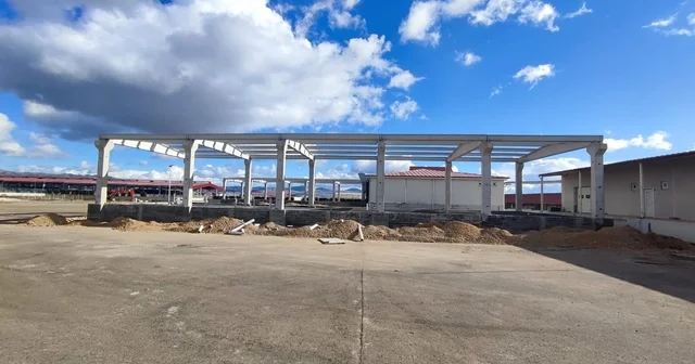 Yıllık 5 milyon kutu kedi köpek maması üretim kapasitesine sahip olacak tesisinde çalışmalar sürüyor Çorum Haberleri