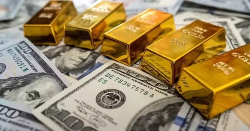 Merkez Bankası rezervleri üst üste ikinci haftada rekor kırdı