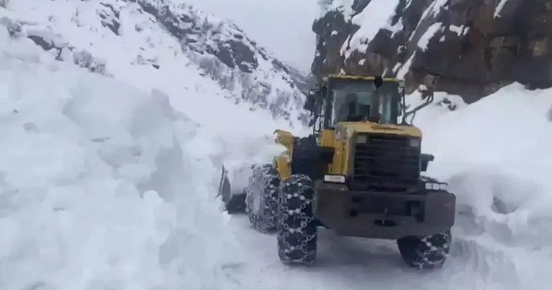 Yayla yolları için seferber oldular