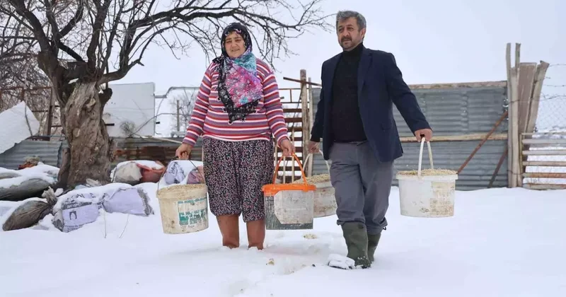 Elazığ’da besicilerin kış mesaisi