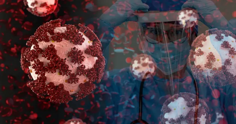 Hayvanlardan insanlara geçiyor: Bu virüsler geleceğin pandemisi olabilir mi?