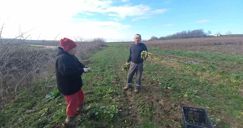 Toprakla kurulan hayat: Karı koca dört mevsim tarlada çalışıyor