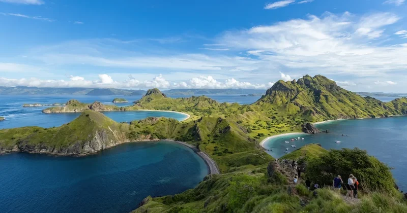 Başkenti yavaş yavaş çöken ülke ormana taşınıyor Sözcü Gazetesi