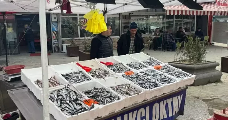 Tezgahlarda hamsi dönemi başladı: İşte güncel balık fiyatları
