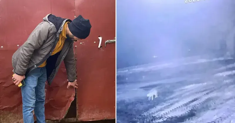 Sisli havada köye inen kurt, ağıldaki 200 koyunu öldürdü