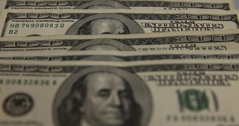 Doların küresel rezervlerdeki payı düşüyor Para Haberleri