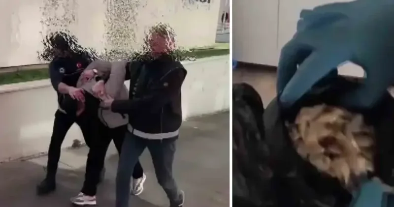 Evinde kilolarca bonzai yapacak hammadde ele geçirildi: Uygun bulunca toplu alıyorum, içiciyim dedi Adana Haberleri