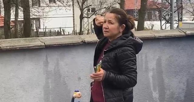 Ağaçta mahsur kalan kedi bir haftadır kurtarılmayı bekliyor Bartın Haberleri