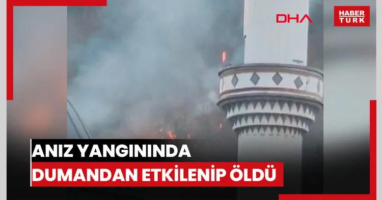Anız yangınında dumandan etkilenip öldü