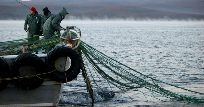 Küçük ölçekli balıkçı destekleri için başvurular başladı
