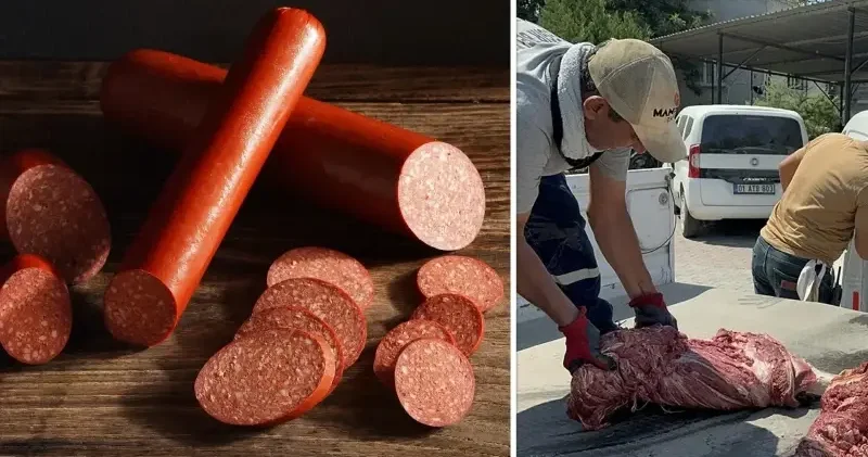 Dana sucuğunda tek tırnaklı hayvan eti çıktı: Tarım Bakanlığı firmayı ifşa etti Gündem Haberleri