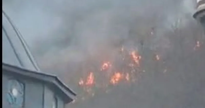 Son dakika: Trabzon daki anız yangınında dumandan etkilenip hayatını kaybetti Son dakika haberleri