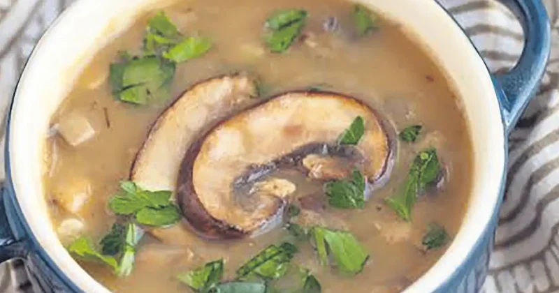 İDİL AÇIKALIN Kestane mantarı ile tarifler