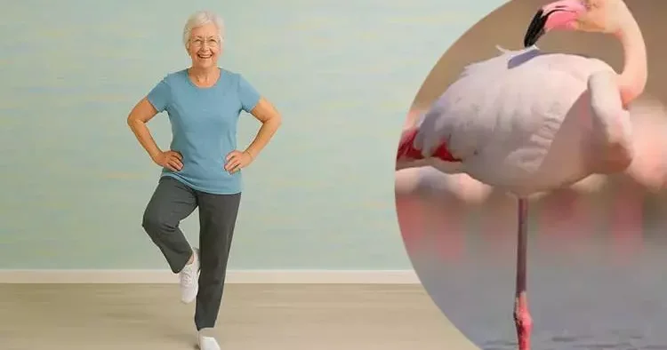 Flamingo testinin sonuçları şaşırtıcı: Tek ayak üzerinde durun, bedeniniz kaç yaşında ölçün!