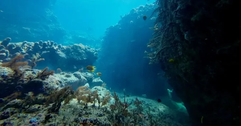 Okyanuslardan kat kat büyük su kaynağı bulundu: Yerin 640 kilometre altında: