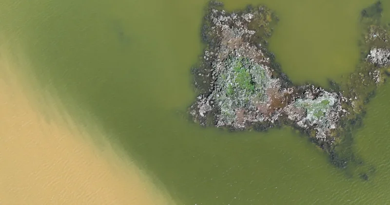 Asırlık volkanik miras dirildi: Kuraklık onu yenemedi