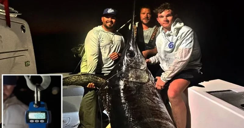 5 saatlik mücadelenin ardından dev balığı yakaladılar: Tüm kasabayı doyurdu Sözcü Gazetesi