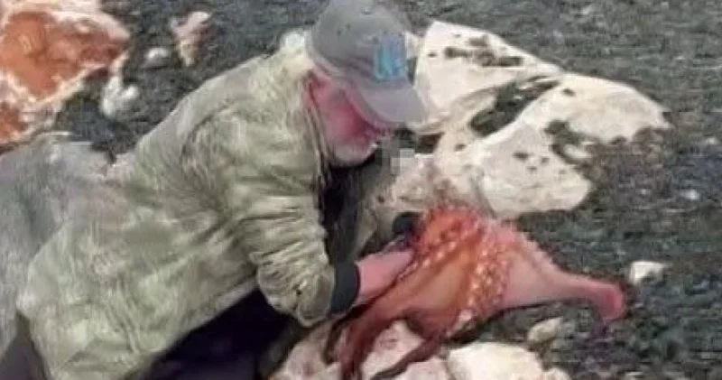 SON DAKİKA: Dev ahtapotu elleriyle avladı İzmir haberleri Son dakika haberleri