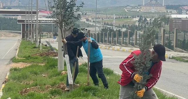 Batman da ağaçlandırma çalışması yapıldı Batman Haberleri