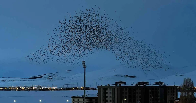 Ardahan ı istila ettiler: Gökyüzü siyaha büründü