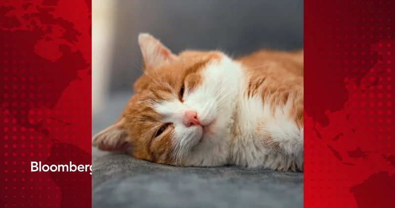 Hareketsizliğin 5 işareti