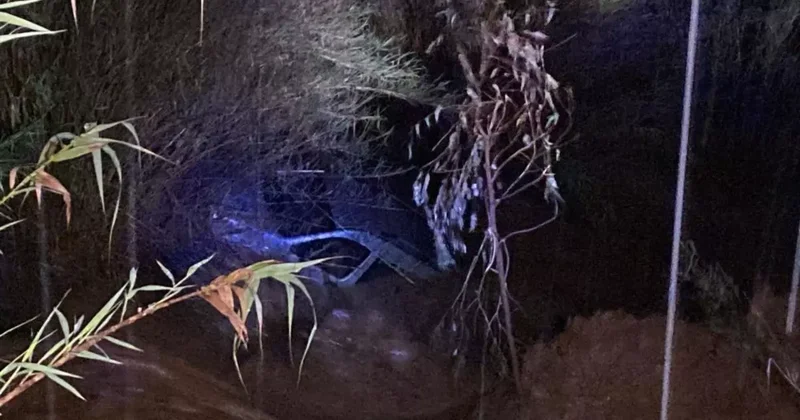 Aracıyla selde sürüklendi, 4 saat bir ota tutunarak hayatta kaldı! Mucize gibi kurtuluş