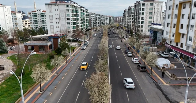 Bulvarlar süs armutlarıyla görsel şölene dönüştü Diyarbakır Haberleri