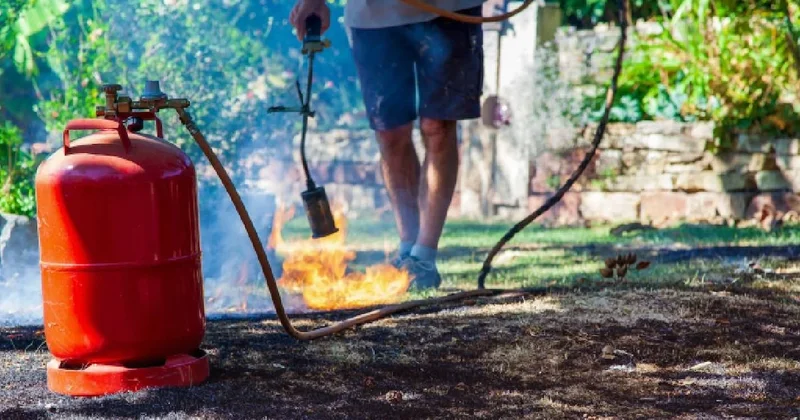 Bahçesinde kuru ot yakana rekor para cezası Sözcü Gazetesi