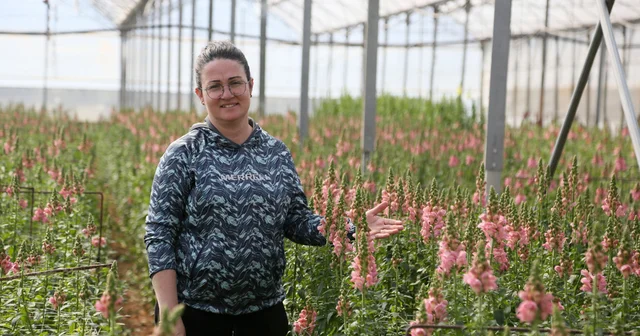 Antalya dan Avrupa ya yeni çiçek: Aslanağzı Antalya Haberleri