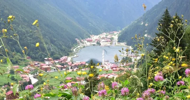 En uzun yaşayanların şehri belli oldu: TÜİK il il ömür haritasını açıkladı