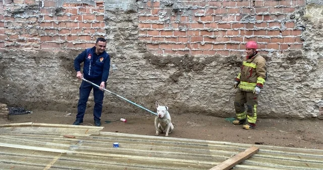 Kapalı inşaat çukuruna düşen köpeği itfaiye kurtardı Manisa Haberleri