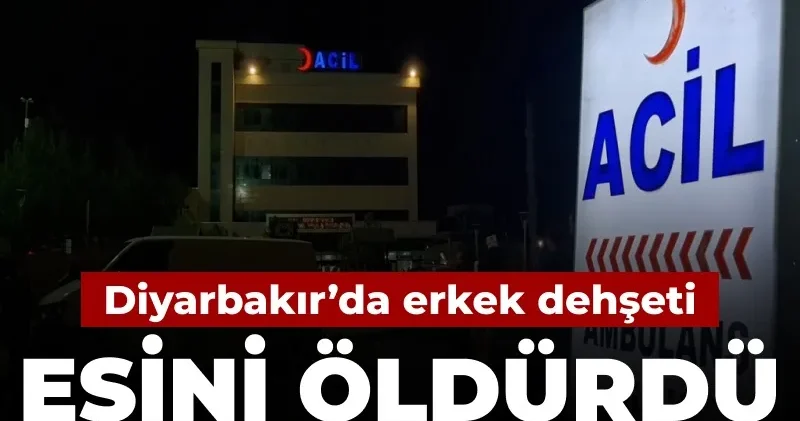 Diyarbakır da erkek dehşeti: Eşini öldürdü dayısını ağır yaraladı