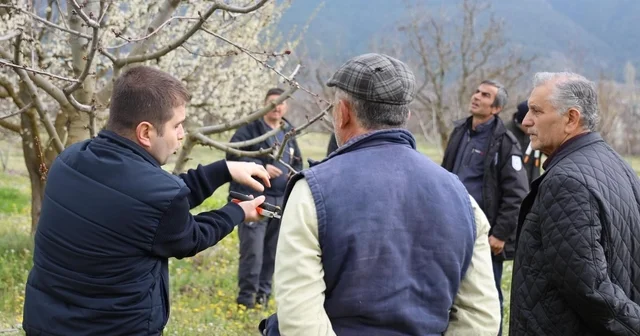 Bilecik te üreticilere gübreleme ve budama kursu Bilecik Haberleri