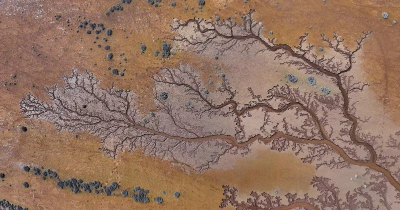 Göl dört bir yandan canlandı: Suların izleri ağaç dalları gibi dallanıp budaklandı