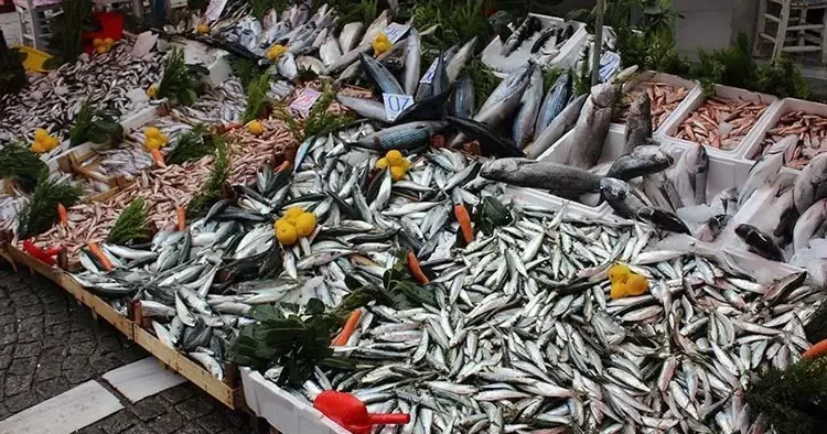 İstavrit tahtını kaybetti, tezgahın kralı değişti