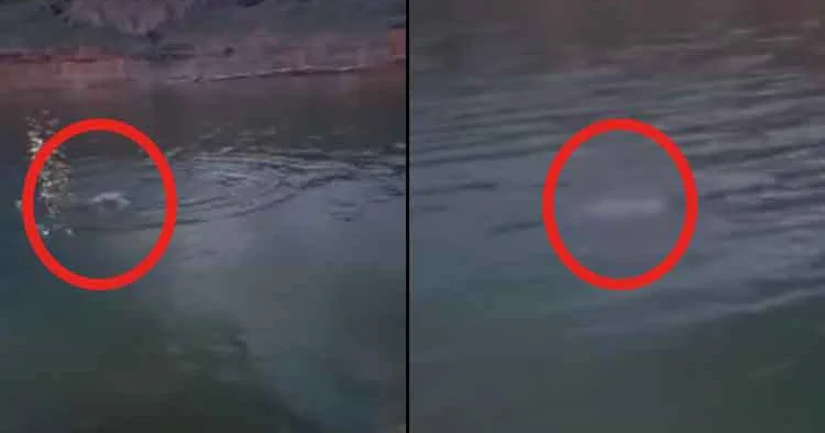 Cesedi bulunan şahsın boğulma anı ortaya çıktı