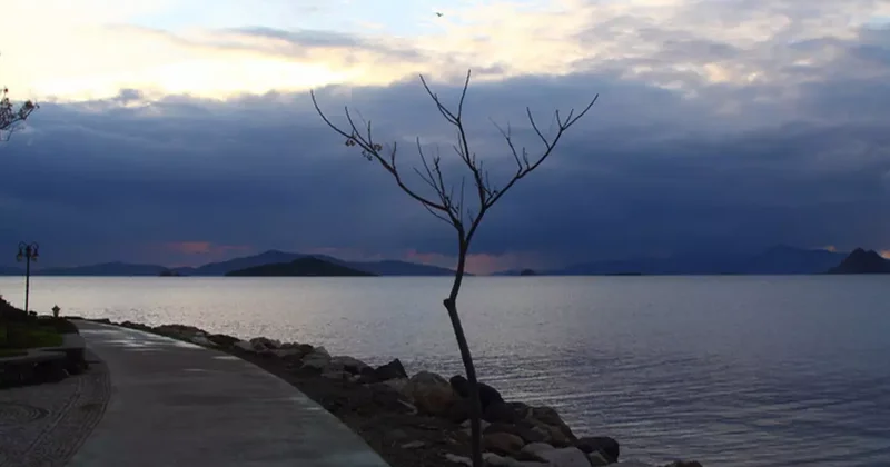 Kayalıkların arasına terk etmişler! Daha kordon bağı bile kesilmeden...