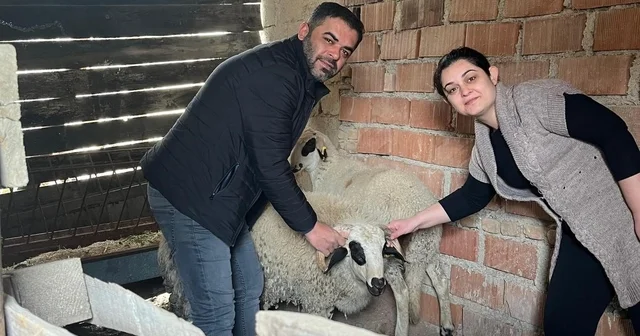 Hayvancılık desteği üreticileri sevindirdi Denizli Haberleri