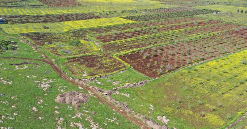 Japonlar ve Çinliler Şanlıurfa ya geliyor! Bir ilk olacak