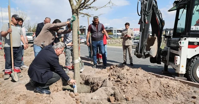 Melikgazi, ağaçlandırma çalışmaları ile geleceğe daha yeşil bir miras bırakıyor Kayseri Haberleri