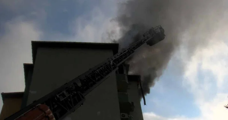 Engelli köpek yangında mahsur kaldı