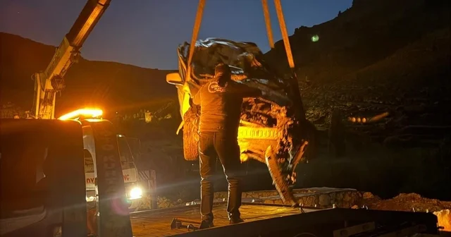 Mardin de uçuruma devrilen hafif ticari aracın sürücüsü yaralandı Mardin Haberleri