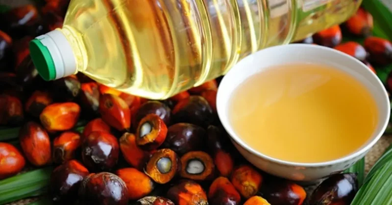 Petrol fiyatlarındaki yükseliş palm yağı piyasasını hareketlendirdi