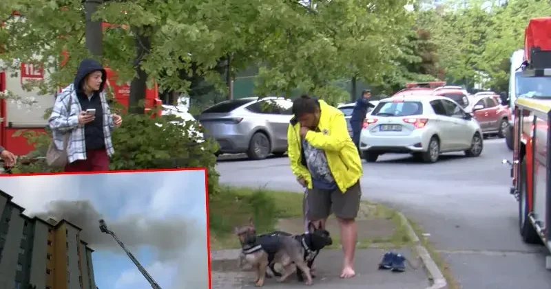 Ataşehir’de 8 katlı binanın en üst katında yangın; engelli köpek içerde mahsur kaldı