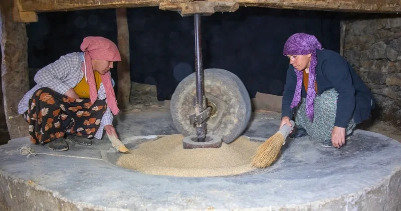 Neredeyse 200 yıldır dönüyor: Atlardan miras kalan değirmende öğütüp tüm Türkiye ye satıyorlar
