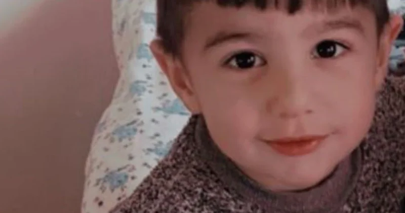 Köpek dehşetinde flaş gelişme: Belediye personeli gözaltına alındı